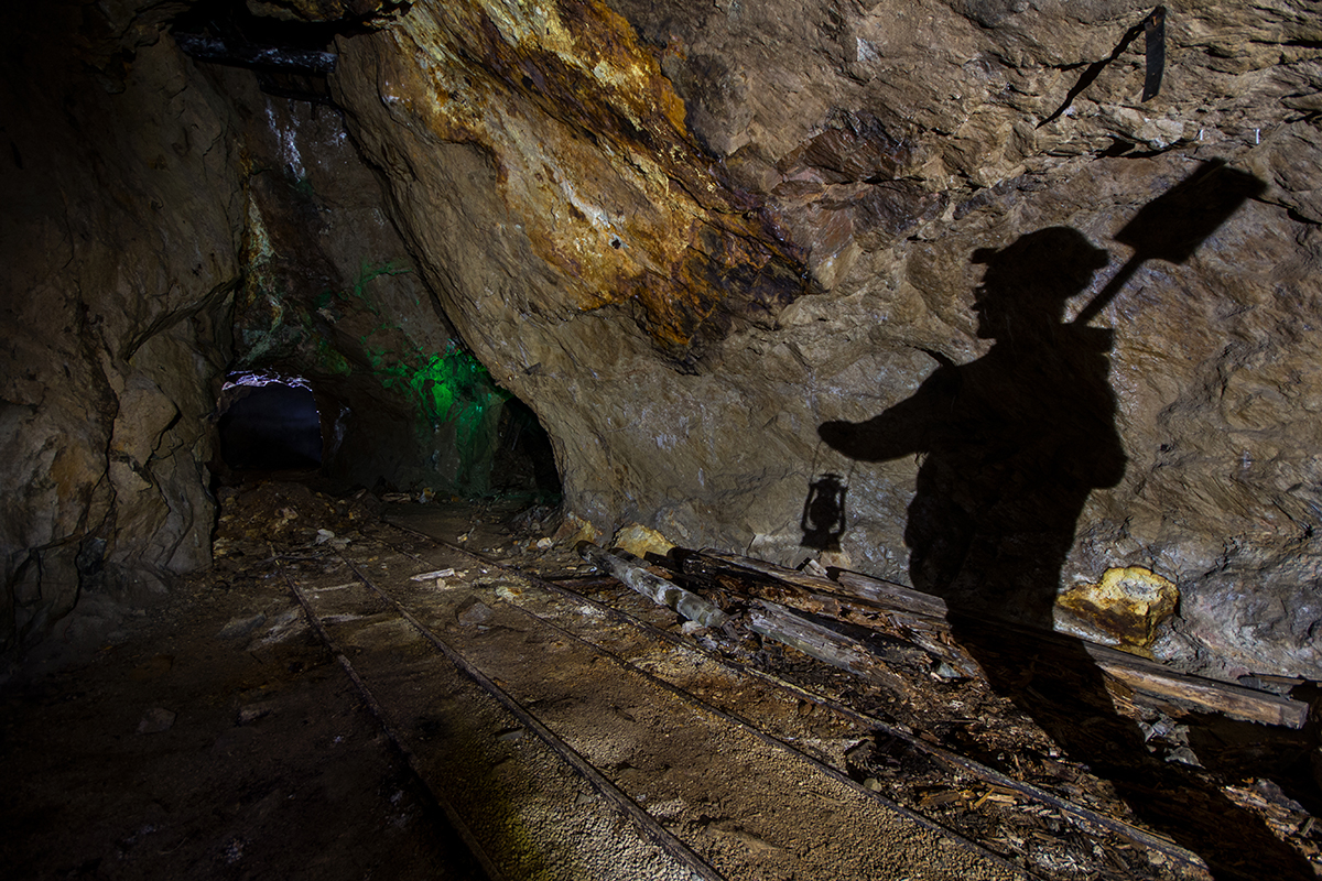 The Explorer